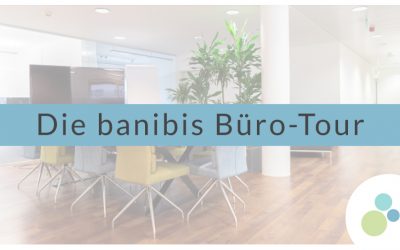banibis Büro Tour